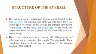 STRUCTURE OF THE EYEBALL
 The eye is a highly specialized sensory organ located within
the bony orbit. The main function of the eye is to detect the visual
stimuli (photoreception) and to convey the gathered information
to the brain via the optic nerve (CN II). In the brain, the
information from the eye is processed and ultimately translated
into an image.
 The average human eye can see around 100 different shades of
color and has a resolution that equals 576 gigapixels. These
remarkable features of our eye are enabled by the complex
structure of the eyeball.
 