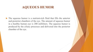 AQUEOUS HUMOR
 The aqueous humor is a nutrient-rich fluid that fills the anterior
and posterior chambers of the eye. The amount of aqueous humor
in a healthy human eye is 200 milliliters. The aqueous humor is
produced by the ciliary processes and delivered into the posterior
chamber of the eye.
 