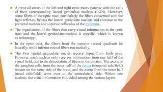  Almost all axons of the left and right optic tracts synapse with the cells
of their corresponding lateral geniculate nucleus (LGN). However,
some fibers of the optic tract, particularly the fibers concerned with the
light reflexes, bypass the lateral geniculate nucleus and continue to the
pretectal nucleus and superior colliculus of the midbrain.
 The organization of the fibers that carry visual information in the optic
tract and the lateral geniculate nucleus is specific, which is known
as retinotopy:
 In the optic tract, the fibers from the superior retinal quadrants lie
laterally, while inferior retinal fibers run medially.
 The two lateral geniculate nuclei receive input from both eyes.
However, each nucleus only receives information from one half of the
visual field, due to the decussation of fibers in the chiasm. The axons of
the ganglion cells from the outer half of the retina (temporal side/field)
remain on the same side of the brain, and the axons from the inner half
(nasal side/field) cross over to the contralateral side. Within one
nucleus, the visual information is divided among the various layers.
 