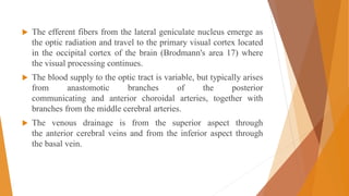  The efferent fibers from the lateral geniculate nucleus emerge as
the optic radiation and travel to the primary visual cortex located
in the occipital cortex of the brain (Brodmann's area 17) where
the visual processing continues.
 The blood supply to the optic tract is variable, but typically arises
from anastomotic branches of the posterior
communicating and anterior choroidal arteries, together with
branches from the middle cerebral arteries.
 The venous drainage is from the superior aspect through
the anterior cerebral veins and from the inferior aspect through
the basal vein.
 