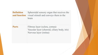 Definition
and function
Spheroidal sensory organ that receives the
visual stimuli and conveys them to the
brain
Parts Fibrous layer (sclera, cornea)
Vascular layer (choroid, ciliary body, iris)
Nervous layer (retina)
 