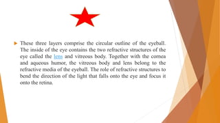  These three layers comprise the circular outline of the eyeball.
The inside of the eye contains the two refractive structures of the
eye called the lens and vitreous body. Together with the cornea
and aqueous humor, the vitreous body and lens belong to the
refractive media of the eyeball. The role of refractive structures to
bend the direction of the light that falls onto the eye and focus it
onto the retina.
 