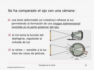 drpabloarias@hotmail.com
Fisiología de la Visión 10
 el iris toma la función del
diafragma, regulando la
entrada de luz
 la retina — sensible a la luz
hace las veces de película.
Se ha comparado el ojo con una cámara:
 una lente deformable (el cristalino) refracta la luz
permitiendo la formación de una imagen bidimensional
invertida en la parte posterior del ojo;
 
