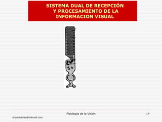 drpabloarias@hotmail.com
Fisiología de la Visión 14
SISTEMA DUAL DE RECEPCIÓN
Y PROCESAMIENTO DE LA
INFORMACION VISUAL
 