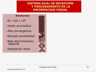 drpabloarias@hotmail.com
Fisiología de la Visión 15
Bastones
-N~ 120 x 106
-Visión acromática
-Alta convergencia
-Elevada sensibilidad
-Baja discriminación
espacial
-Adaptación lenta
SISTEMA DUAL DE RECEPCIÓN
Y PROCESAMIENTO DE LA
INFORMACION VISUAL
 