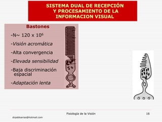 drpabloarias@hotmail.com
Fisiología de la Visión 16
Bastones
-N~ 120 x 106
-Visión acromática
-Alta convergencia
-Elevada sensibilidad
-Baja discriminación
espacial
-Adaptación lenta
SISTEMA DUAL DE RECEPCIÓN
Y PROCESAMIENTO DE LA
INFORMACION VISUAL
 