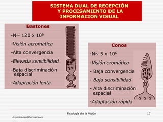 drpabloarias@hotmail.com
Fisiología de la Visión 17
Bastones
-N~ 120 x 106
-Visión acromática
-Alta convergencia
-Elevada sensibilidad
-Baja discriminación
espacial
-Adaptación lenta
Conos
-N~ 5 x 106
-Visión cromática
- Baja convergencia
- Baja sensibilidad
- Alta discriminación
espacial
-Adaptación rápida
SISTEMA DUAL DE RECEPCIÓN
Y PROCESAMIENTO DE LA
INFORMACION VISUAL
 
