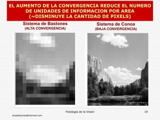 drpabloarias@hotmail.com
Fisiología de la Visión 19
Sistema de Bastones
(ALTA CONVERGENCIA)
Sistema de Conos
(BAJA CONVERGENCIA)
EL AUMENTO DE LA CONVERGENCIA REDUCE EL NUMERO
DE UNIDADES DE INFORMACION POR AREA
(~DISMINUYE LA CANTIDAD DE PIXELS)
 