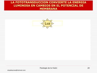 drpabloarias@hotmail.com
Fisiología de la Visión 20
LA FOTOTRANSDUCCION CONVIERTE LA ENERGIA
LUMINOSA EN CAMBIOS EN EL POTENCIAL DE
MEMBRANA
 