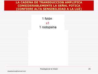 drpabloarias@hotmail.com
Fisiología de la Visión 25
LA CADENA DE TRANSDUCCION AMPLIFICA
CONSIDERABLEMENTE LA SEÑAL FOTICA
(CONFIERE ALTA SENSIBILIDAD A LA LUZ)
 
