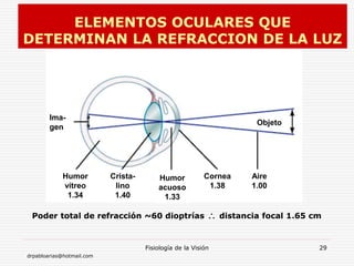 drpabloarias@hotmail.com
Fisiología de la Visión 29
ELEMENTOS OCULARES QUE
DETERMINAN LA REFRACCION DE LA LUZ
Ima-
gen
Objeto
Humor
vítreo
1.34
Crista-
lino
1.40
Humor
acuoso
1.33
Cornea
1.38
Aire
1.00
Poder total de refracción ~60 dioptrías  distancia focal 1.65 cm
 