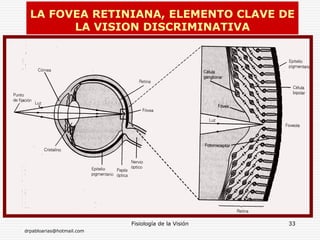 drpabloarias@hotmail.com
Fisiología de la Visión 33
LA FOVEA RETINIANA, ELEMENTO CLAVE DE
LA VISION DISCRIMINATIVA
 