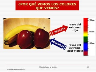 drpabloarias@hotmail.com
Fisiología de la Visión 40
¿POR QUÉ VEMOS LOS COLORES
QUE VEMOS?
rayos del
extremo
rojo
rayos del
extremo
azul-violeta
 