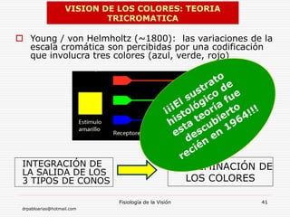 drpabloarias@hotmail.com
Fisiología de la Visión 41
 Young / von Helmholtz (~1800): las variaciones de la
escala cromática son percibidas por una codificación
que involucra tres colores (azul, verde, rojo)
VISION DE LOS COLORES: TEORIA
TRICROMATICA
INTEGRACIÓN DE
LA SALIDA DE LOS
3 TIPOS DE CONOS
DISCRIMINACIÓN DE
LOS COLORES
 