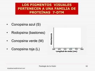 drpabloarias@hotmail.com
Fisiología de la Visión 42
• Conopsina azul (S)
• Rodopsina (bastones)
• Conopsina verde (M)
• Conopsina roja (L) Absorbancia Longitud de onda (nm)
LOS PIGMENTOS VISUALES
PERTENECEN A UNA FAMILIA DE
PROTEÍNAS 7-DTM
 