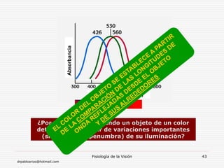 drpabloarias@hotmail.com
Fisiología de la Visión 43
Absorbancia
Longitud de onda (nm)
¿Por qué seguimos viendo un objeto de un color
determinado a pesar de variaciones importantes
(sin llegar a la penumbra) de su iluminación?
 
