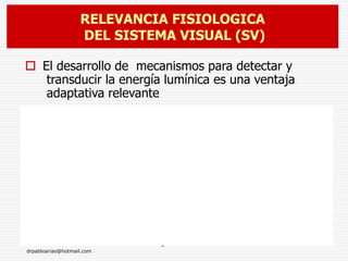 drpabloarias@hotmail.com
Fisiología de la Visión 5
 El desarrollo de mecanismos para detectar y
transducir la energía lumínica es una ventaja
adaptativa relevante
 El SV es el más complejo de los sistemas
sensoriales
 El SV aporta al cerebro el 80% de la información
proveniente del medio
 Interviene además en la ritmicidad circadiana, en el
equilibrio y en la generación de reflejos posturales
RELEVANCIA FISIOLOGICA
DEL SISTEMA VISUAL (SV)
 