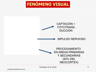 drpabloarias@hotmail.com
Fisiología de la Visión 9
SEÑAL
ÓRGANO RECEPTOR
MENSAJE
INTERPRETACIÓN
FENÓMENO VISUAL
CAPTACIÓN +
FOTOTRANS-
DUCCIÓN
IMPULSO NERVIOSO
PROCESAMIENTO
EN AREAS PRIMARIAS
Y SECUNDARIAS
(50% DEL
NEOCORTEX)
 