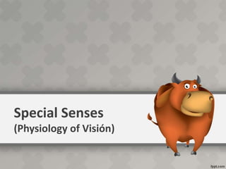 Special Senses
(Physiology of Visión)
 