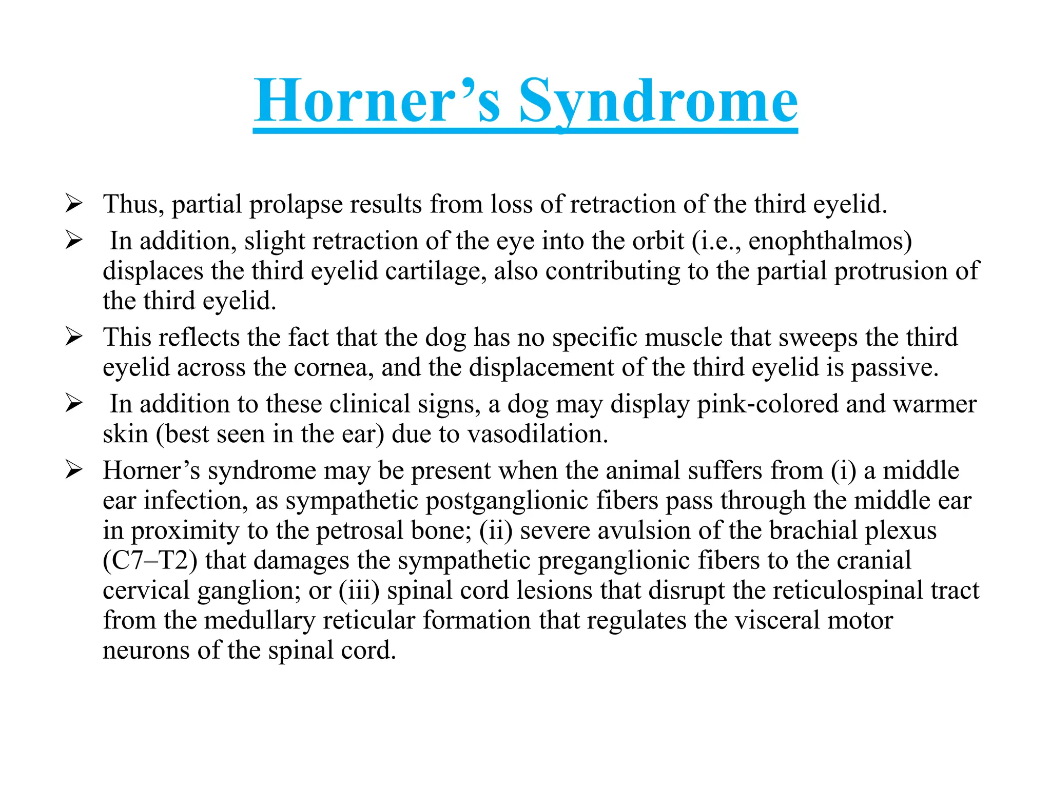 VISION IN ANIMALS VETERINARY PHYSIOLOGY.pdf