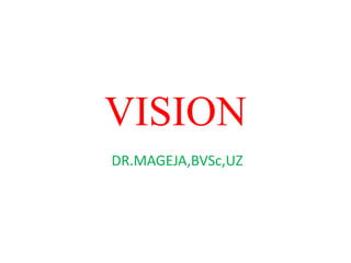 VISION
DR.MAGEJA,BVSc,UZ
 