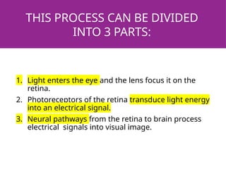 THIS PROCESS CAN BE DIVIDED
INTO 3 PARTS:
1. Light enters the eye and the lens focus it on the
retina.
2. Photoreceptors of the retina transduce light energy
into an electrical signal.
3. Neural pathways from the retina to brain process
electrical signals into visual image.
 
