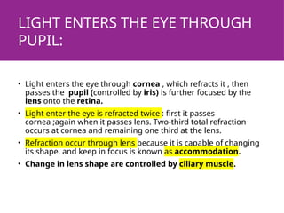 LIGHT ENTERS THE EYE THROUGH
PUPIL:
• Light enters the eye through cornea , which refracts it , then
passes the pupil (controlled by iris) is further focused by the
lens onto the retina.
• Light enter the eye is refracted twice : first it passes
cornea ;again when it passes lens. Two-third total refraction
occurs at cornea and remaining one third at the lens.
• Refraction occur through lens because it is capable of changing
its shape, and keep in focus is known as accommodation.
• Change in lens shape are controlled by ciliary muscle.
 