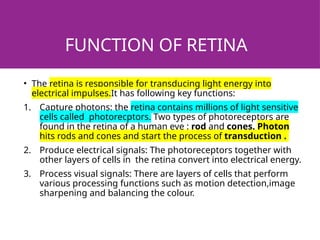 FUNCTION OF RETINA
• The retina is responsible for transducing light energy into
electrical impulses.It has following key functions:
1. Capture photons: the retina contains millions of light sensitive
cells called photorecptors. Two types of photoreceptors are
found in the retina of a human eye : rod and cones. Photon
hits rods and cones and start the process of transduction .
2. Produce electrical signals: The photoreceptors together with
other layers of cells in the retina convert into electrical energy.
3. Process visual signals: There are layers of cells that perform
various processing functions such as motion detection,image
sharpening and balancing the colour.
 