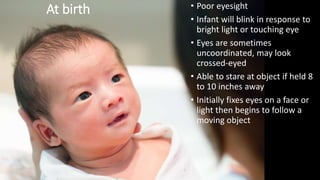 Development of Vision | PPT