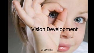 Vision Development
Dr CSN Vittal
 