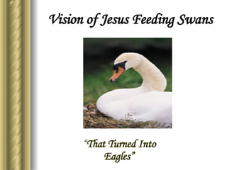 Vision of Jesus Feeding Swans “ That Turned Into Eagles” 