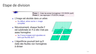 Etape de division
116
 