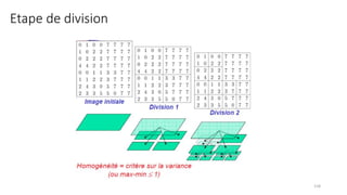 Etape de division
118
 