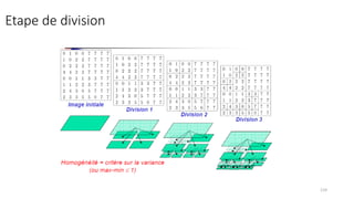 Etape de division
119
 