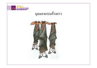 มุมมองแบบคางคาว
 