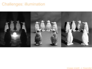 Challenges: illumination
image credit: J. Koenderi
 
