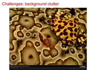 Challenges: background clutter
 