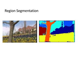 Region Segmentation
 