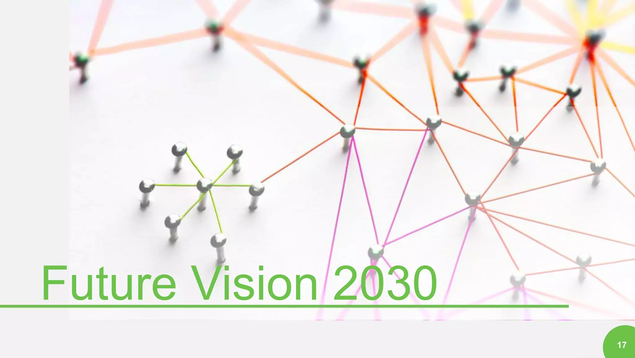 17
Future Vision 2030
 