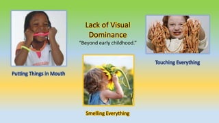 Lack of Visual
Dominance
“Beyond early childhood.”
Putting Things in Mouth
Smelling Everything
Touching Everything
 