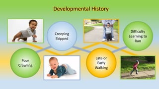 Developmental History
Poor
Crawling
Creeping
Skipped
Late or
Early
Walking
Difficulty
Learning to
Run
 