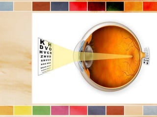 Vision and optical instruments