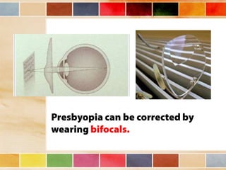 Vision and optical instruments