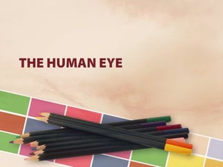 Vision and optical instruments