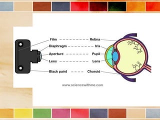 Vision and optical instruments