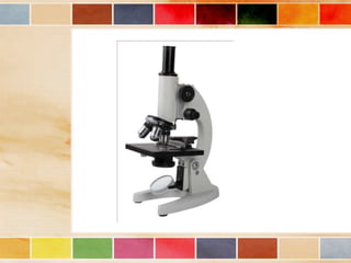 Vision and optical instruments