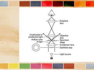 Vision and optical instruments