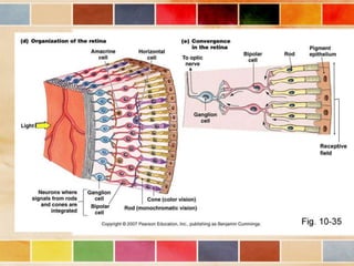 Vision and optical instruments