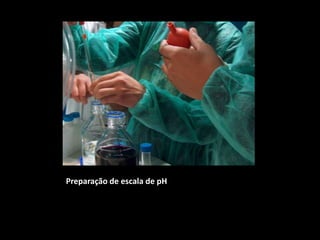 Preparação de escala de pH