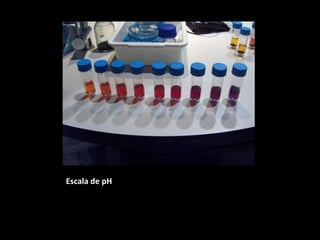 Escala de pH